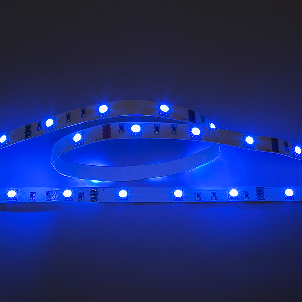 5011120570_Flexible LED SMD 5050 12V blau
